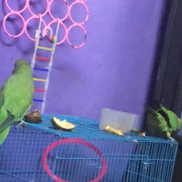 Posters - Picture 6 of 16